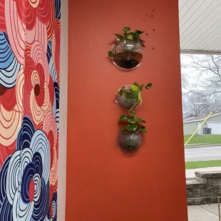 Love these little plants on the wall. So peaceful.
