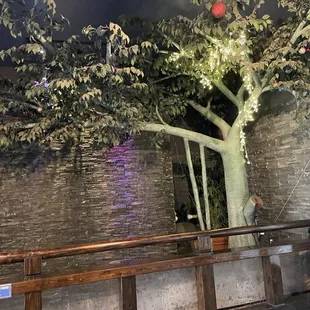 a tree in a restaurant