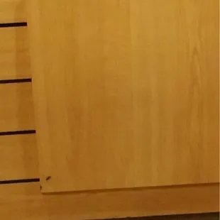 Roaches! This place is so gross!