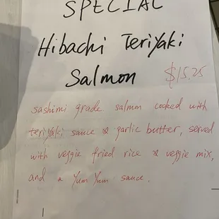 Teriyaki Salmon Special is delicious!