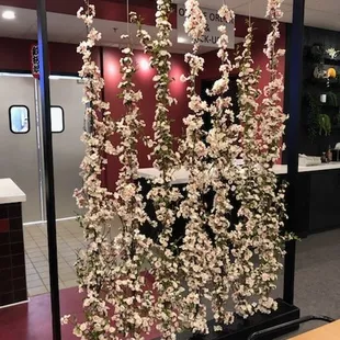 Beautiful decor