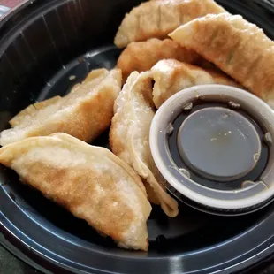 Gyoza