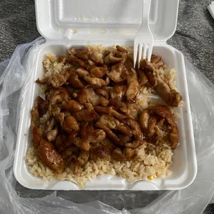 Terryaki Chicken and Fried Rice