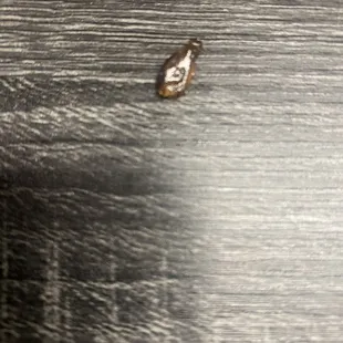 A roach was found in my fried rice PLEASE DO NOT EAT HERE
