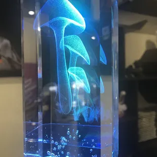 Cool color changing led backlit mushroom lights at Hibachi Express Japanese Casual Restaurant, Temple Terrace, Tampa