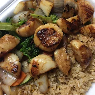 Scallops