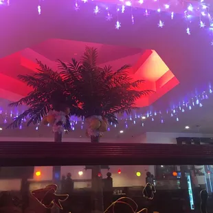 interior, sushi and sashimi