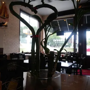 ramen and noodles, interior