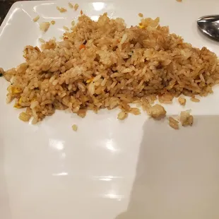 Lots of fried rice, but soooo much oil.