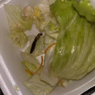 wraps, burrito, burritos and wraps, food