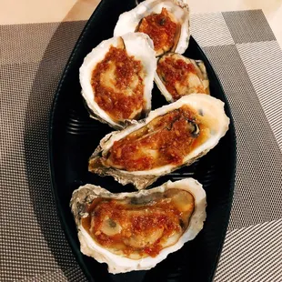 oysters, mussels, food, oysters and mussels, shellfish