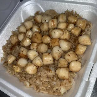 Double scallop with no veggies