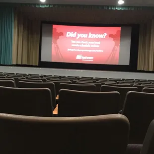 Smells a little wet and moldy