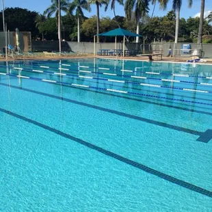 Great quiet pool. Warm all year long.