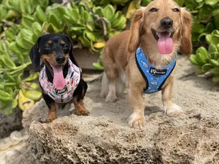 Barber's Point Beach Park & Lighthouse