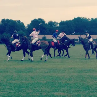 Free family-friendly entertainment, great tailgating, beautiful horses it doesn't get better!