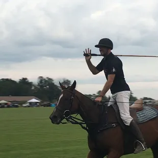 Polo