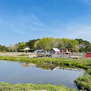 a pond and picnic area