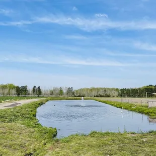 a pond in the middle of a field