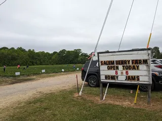 Salem Berry Farm