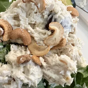 Our Famous Chicken Salad with Grapes and Cashews