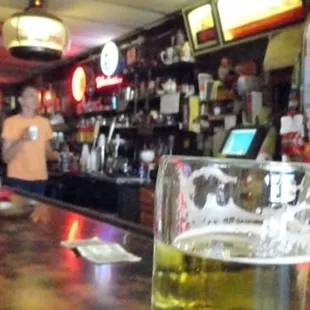 two glasses of beer on the bar