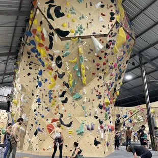 Island with lead, top rope, and auto belays in the back