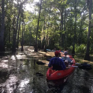 Machec Kayak Tour