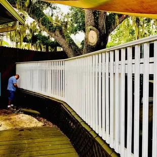 Lost under the magic tree Arrrrrr!