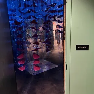 fish swimming through a glass door