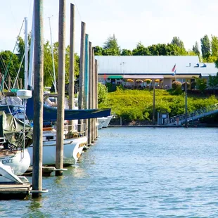 boats docked at a marina
