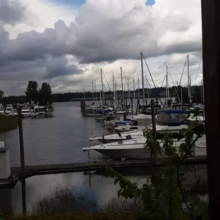 a view of a marina with boats