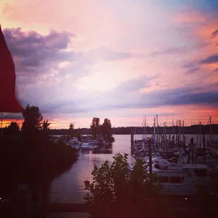 Looking out onto the marina from the grill