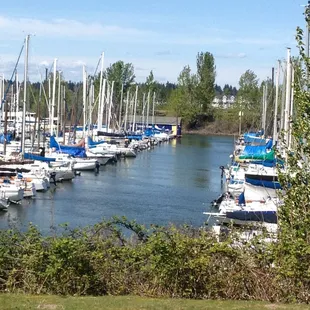 Marina by the Hidden Cove Cafe in Jantzen Beach.  Nice place to take a walk after eating.