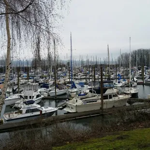 The view feom the cafe