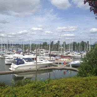 View from the table.