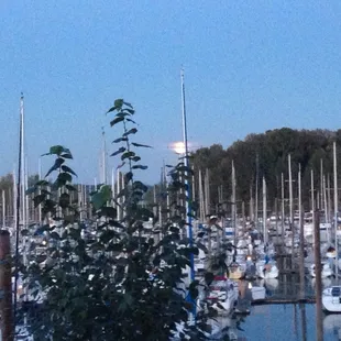Harvest Moon over the marina