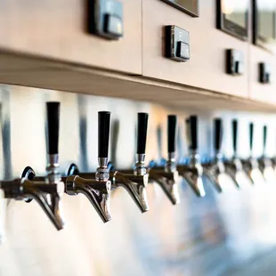 Self serve craft beer (photo credit Haley Hill Photography)