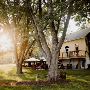 the back of the house with the sun shining through the trees