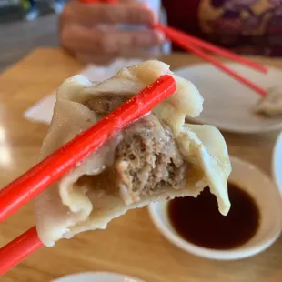 Beef and Onion Dumplings