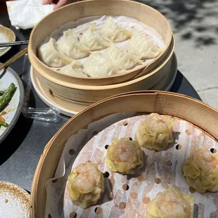 Chicken Cilantro Dumplings