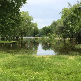 This park is flooded!