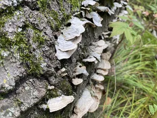 Maplewood Nature Center