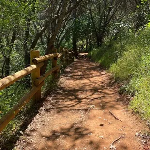 Switchback trail down from trailhead. Very shady