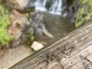 Black Hole of Calcutta Falls