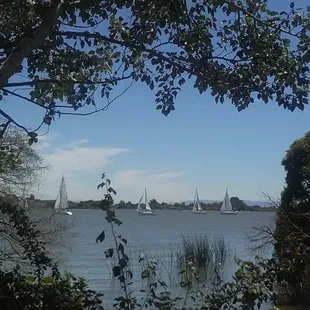 Caught the port side of these guys windward out of hidden harbor ;)