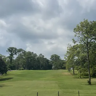 Hot today but a good day!