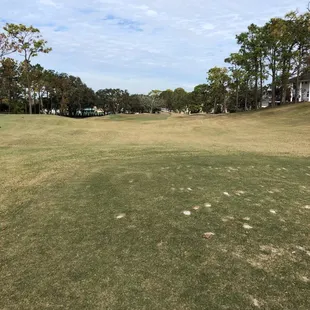 16 par 3