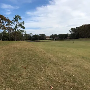 Approach to 11 "island" green