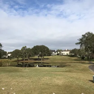 Number 5. Elevated green, psychological pond in front of tee box. Pretty hole and treacherous at the same time - defines golf